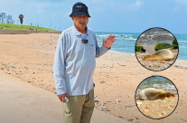 80 عاما عملت كبحار لم أر فقمة في بحرنا بحياتي